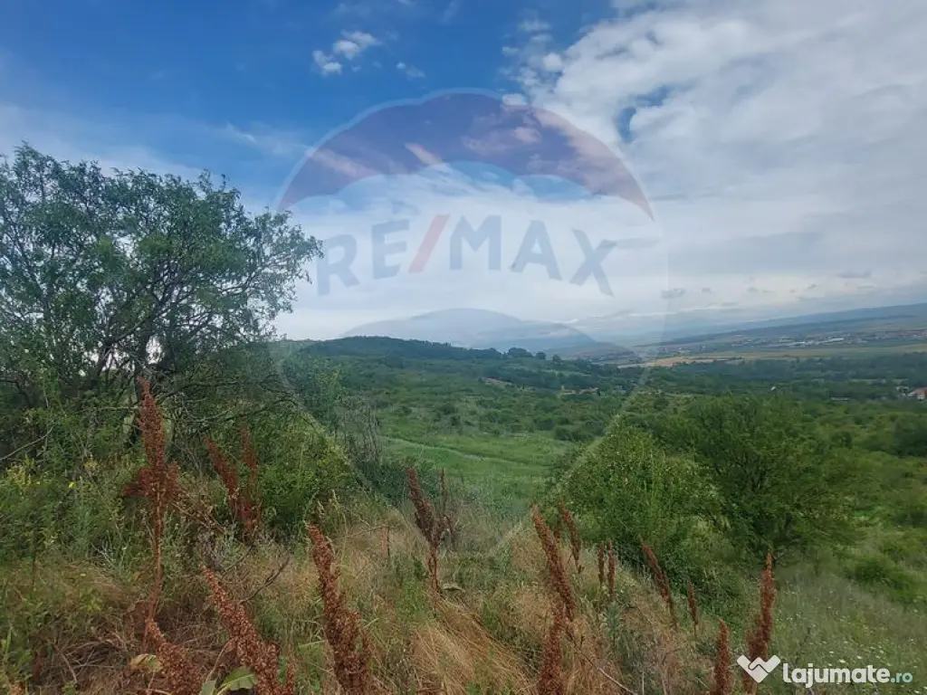 Teren intravilan in Oradea, Str. Piatra Craiului, Bihor