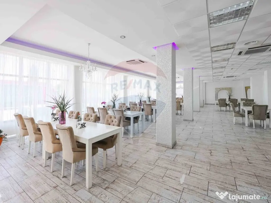 Hotel/Pensiune de vânzare cu 16 camere, Punct de Frontie...