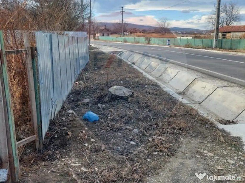 Teren 1,943mp Urechesti / Strada Principala