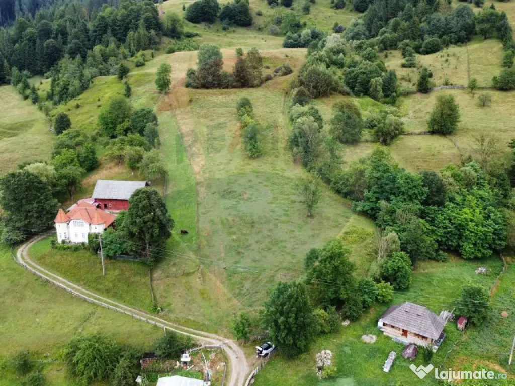 Teren 6,865mp Voroneț / Gura Humorului / Bucovina 