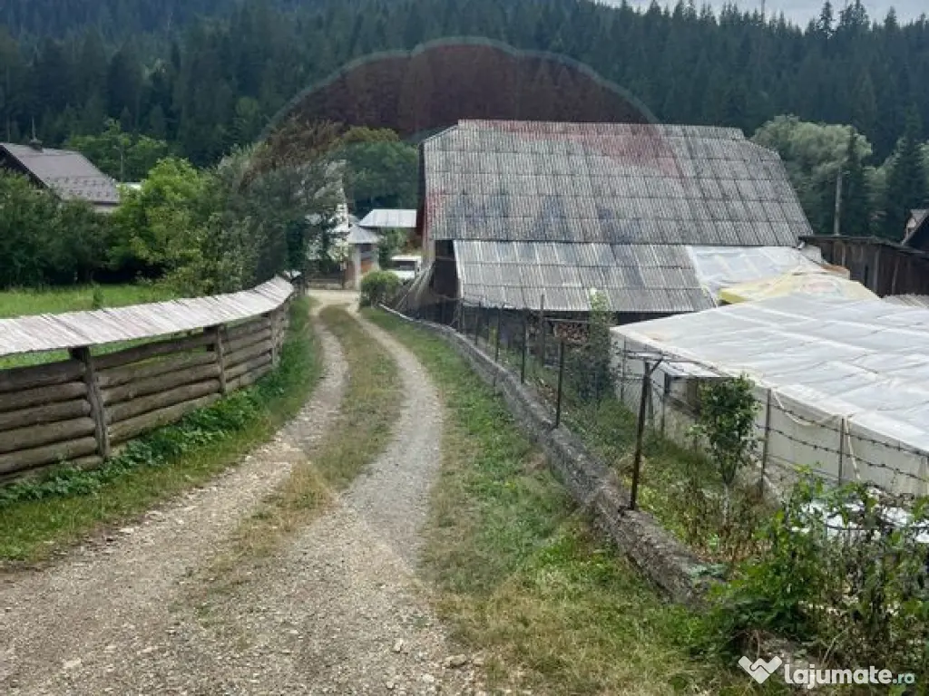 Teren 6,865mp Voroneț / Gura Humorului / Bucovina 