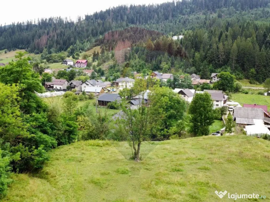 Teren 6,865mp Voroneț / Gura Humorului / Bucovina 