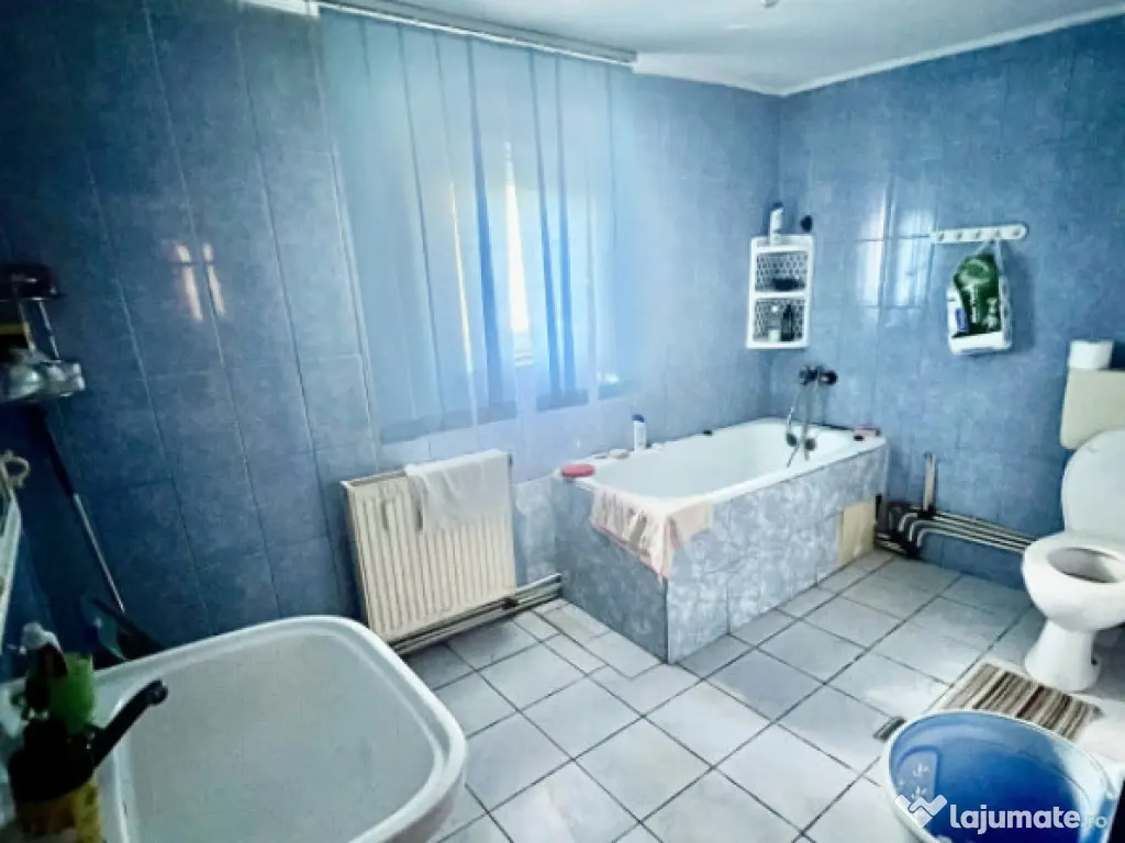 CASA MOARA GRECILOR,VASLUI 