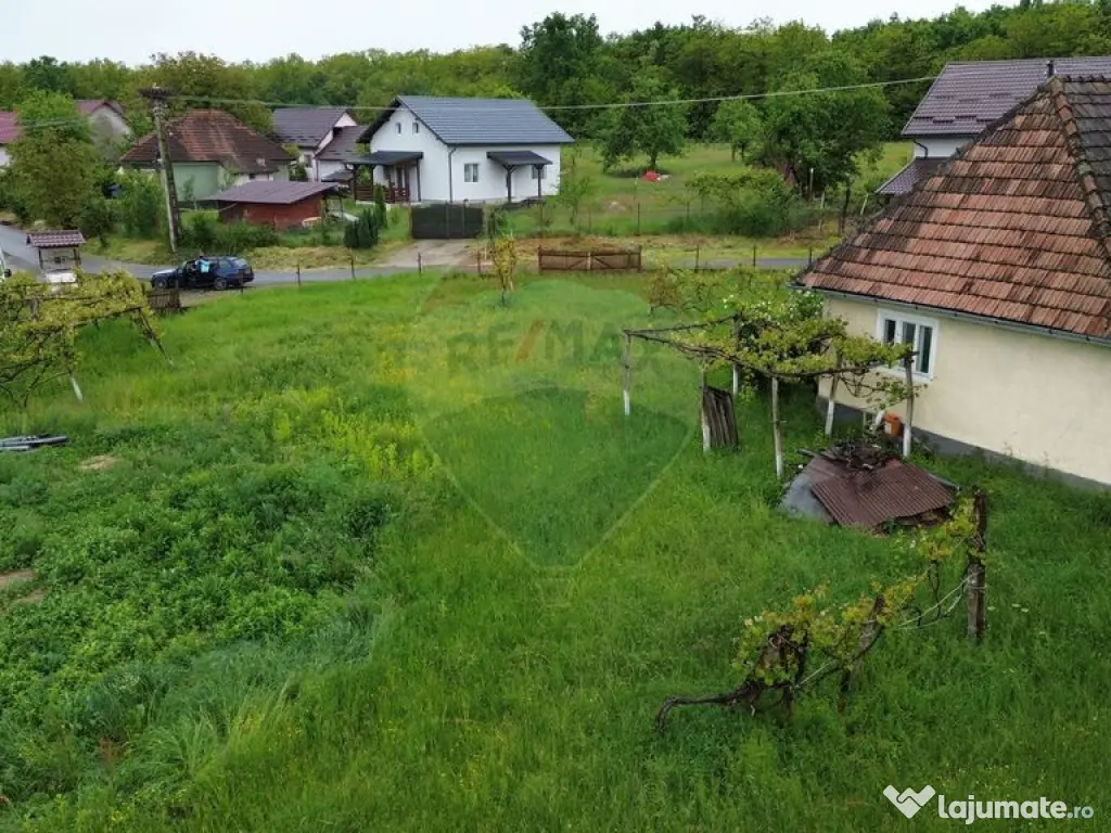 Casa cu teren De Vanzare in Ariesul de Padure 