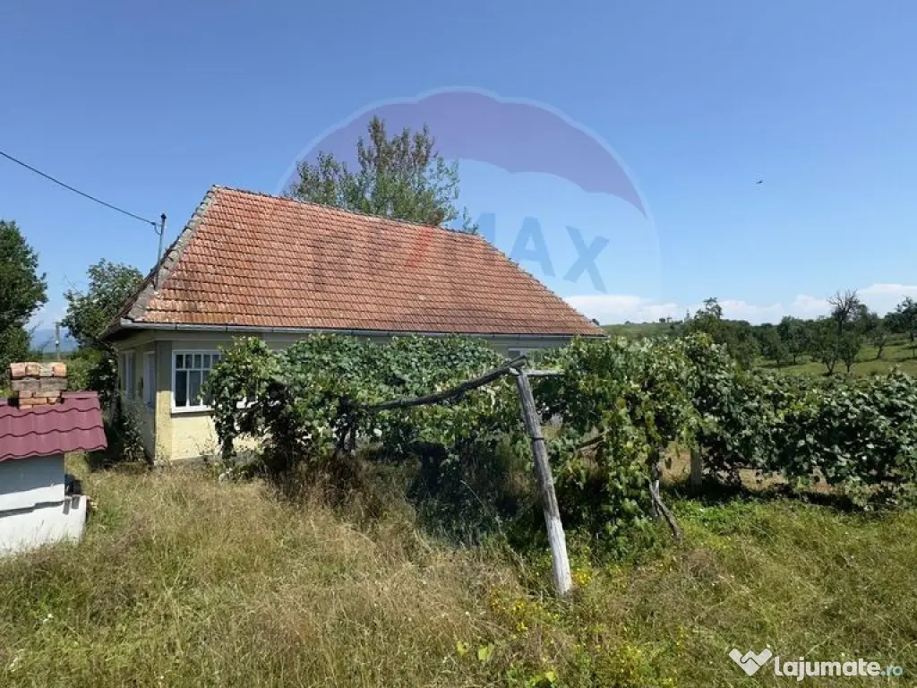 Casa cu teren De Vanzare in Ariesul de Padure 