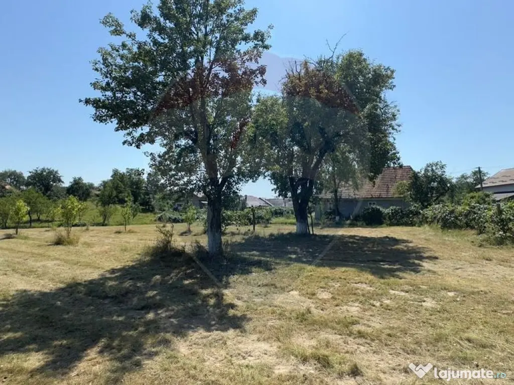 Casa cu teren De Vanzare in Ariesul de Padure 