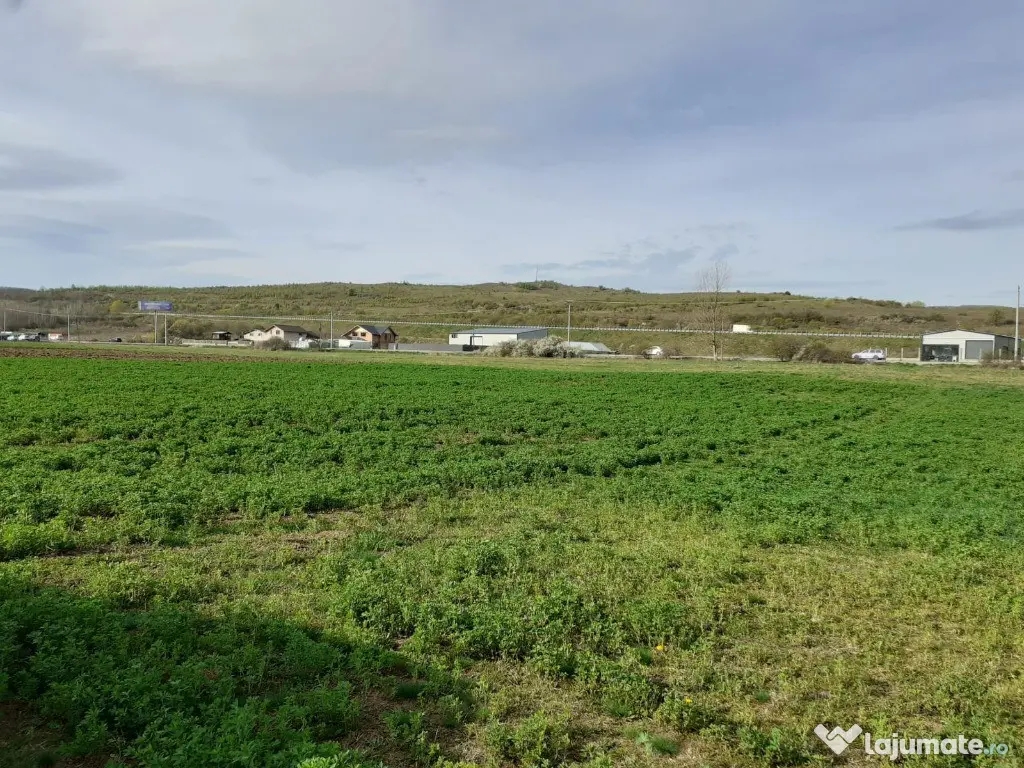 Teren intravilan 900mp Luna de Sus 