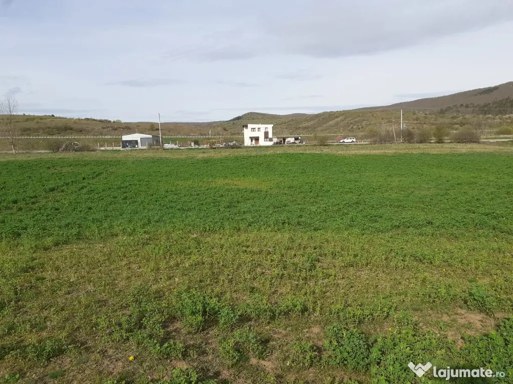 Teren intravilan 900mp Luna de Sus 