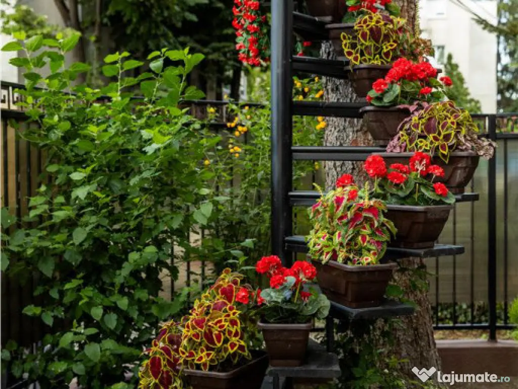 Ultracentral- vila lux- amenajata Pensiune- afacere la cheie 