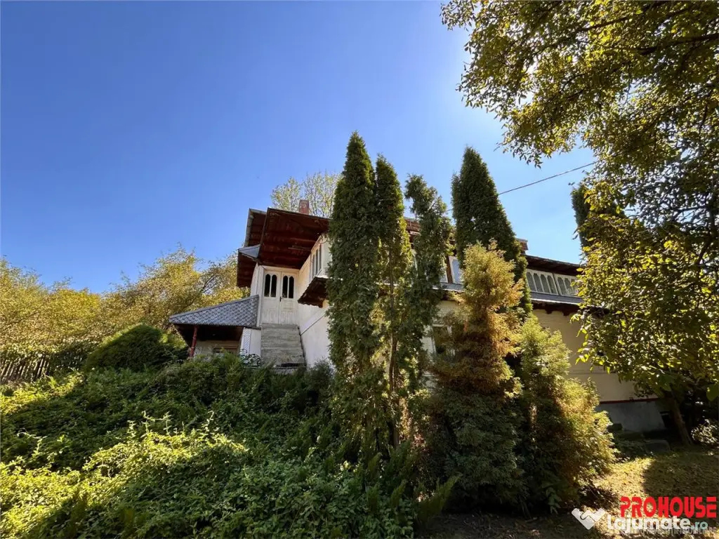 Oportunitate de investitie - 40.000 mp - constructii si tere