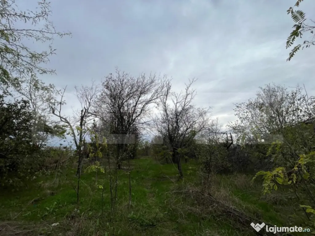 Teren 1895 mp, in Carcea, front 21 ml, toate utilitatile