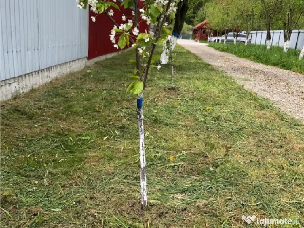 Casa si teren in zona Zizin Comison standard 