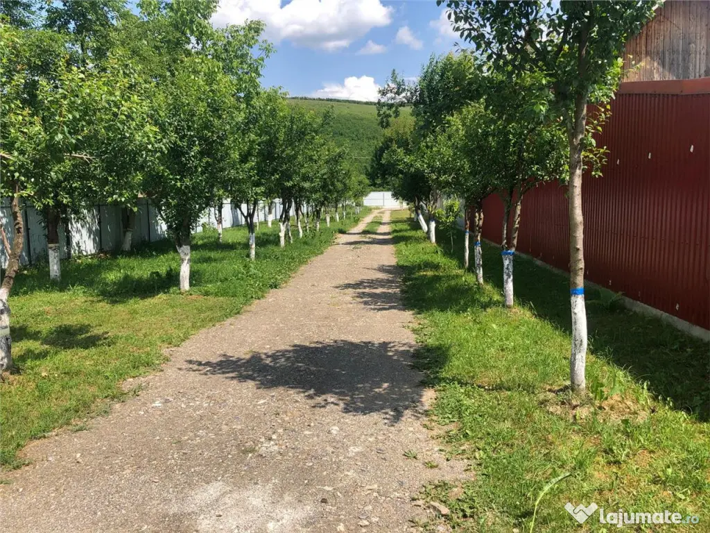 Casa si teren in zona Zizin Comison standard 