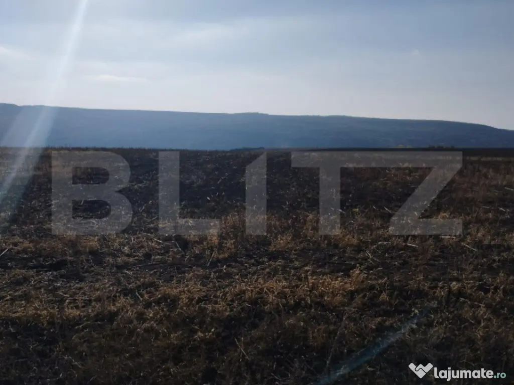 Teren 2,8 ha, langa Autostrada, utilitati aproape, Letcani