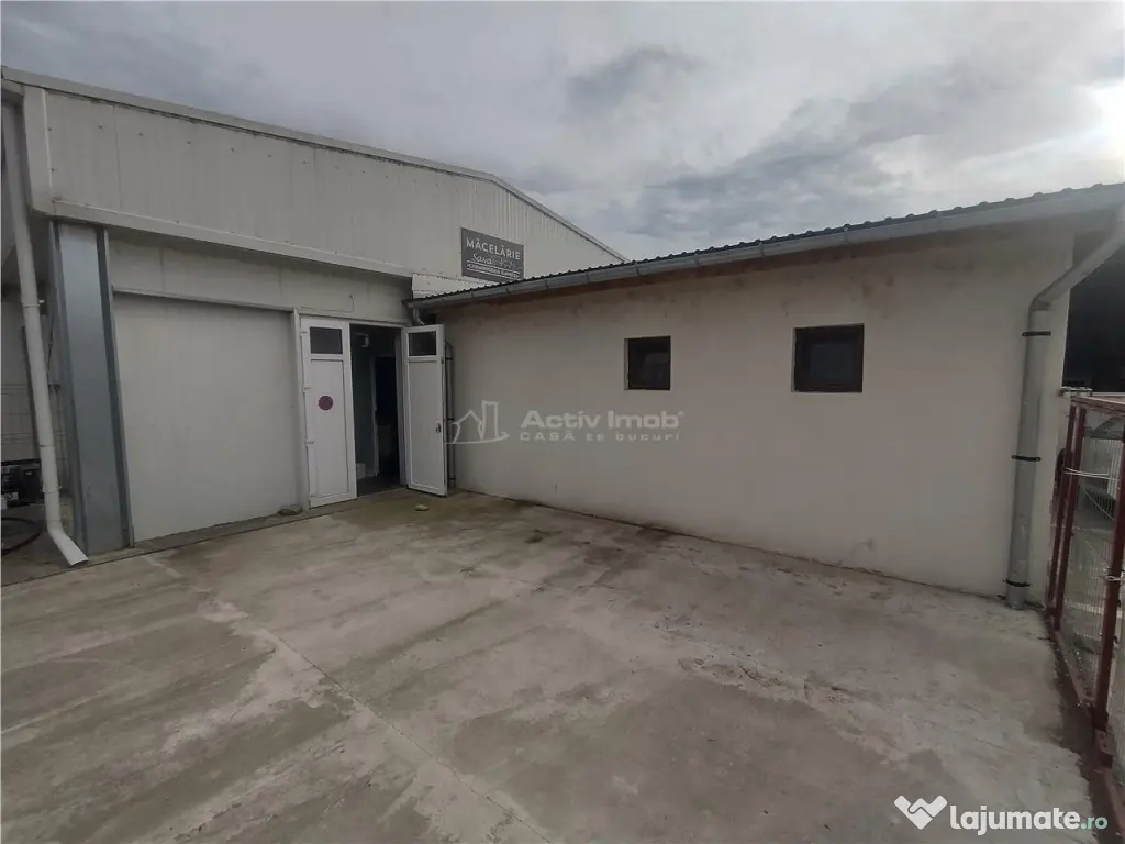 Moldova Noua, Spatiu Comercial - Macelarie, Utilata, sau