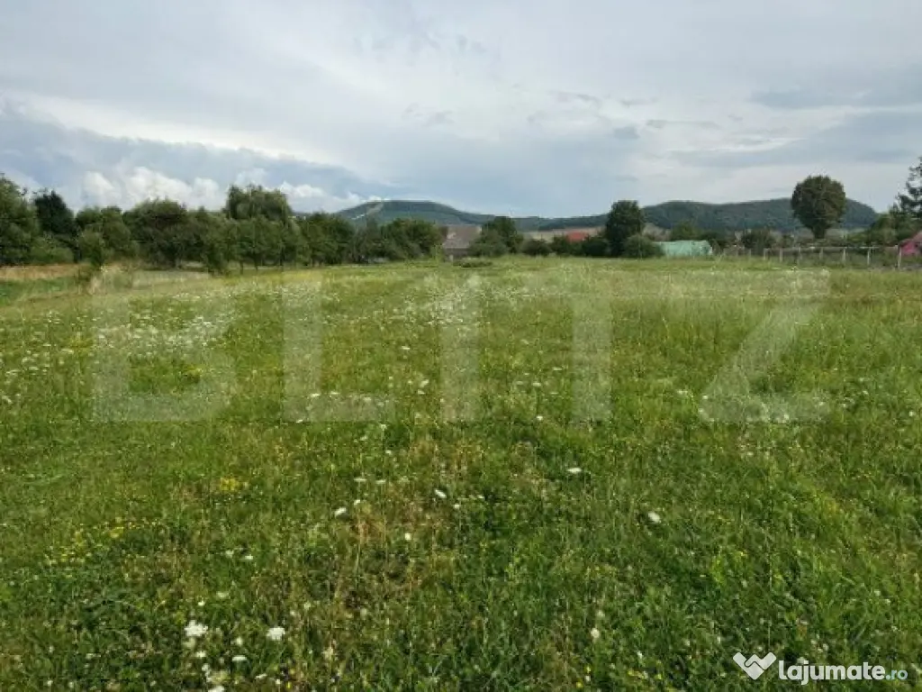 Teren Intravilan UNIREA 972mp