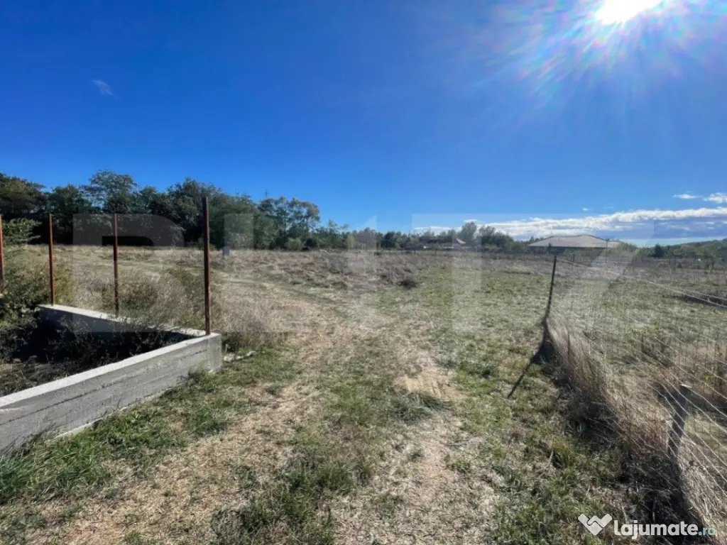 Teren Intravilan de vanzare, 900mp, Turcinesti