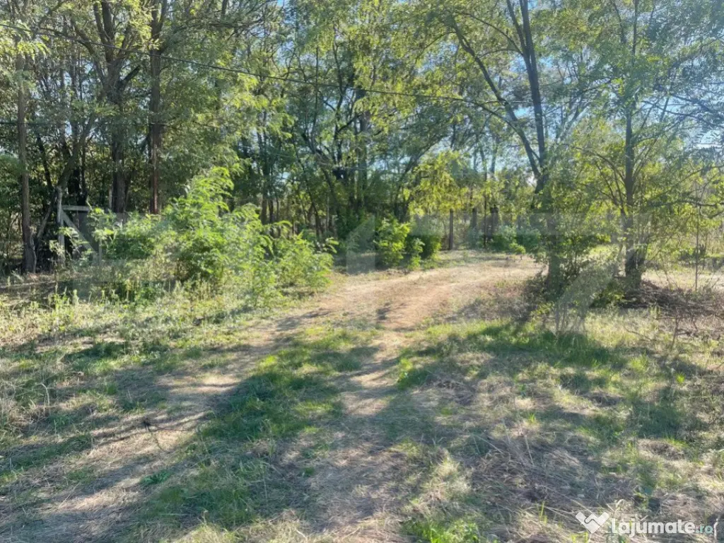 Teren Intravilan de vanzare, 900mp, Turcinesti