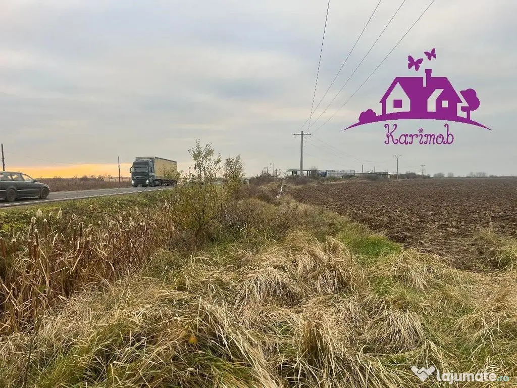 Teren pentru hale soseaua Nojorid Les 