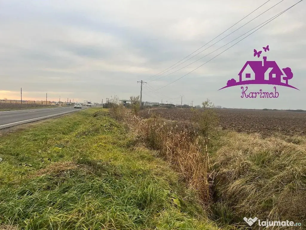 Teren pentru hale soseaua Nojorid Les 