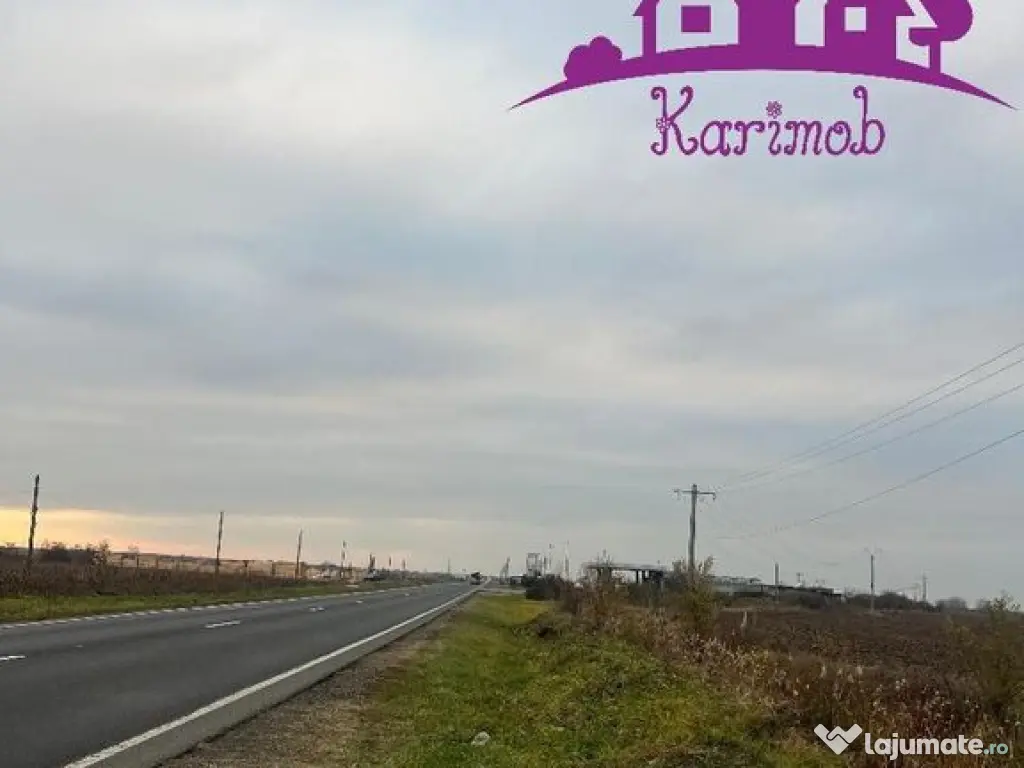 Teren pentru hale soseaua Nojorid Les 