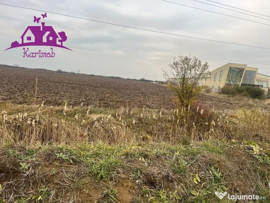 Teren pentru hale soseaua Nojorid Les 