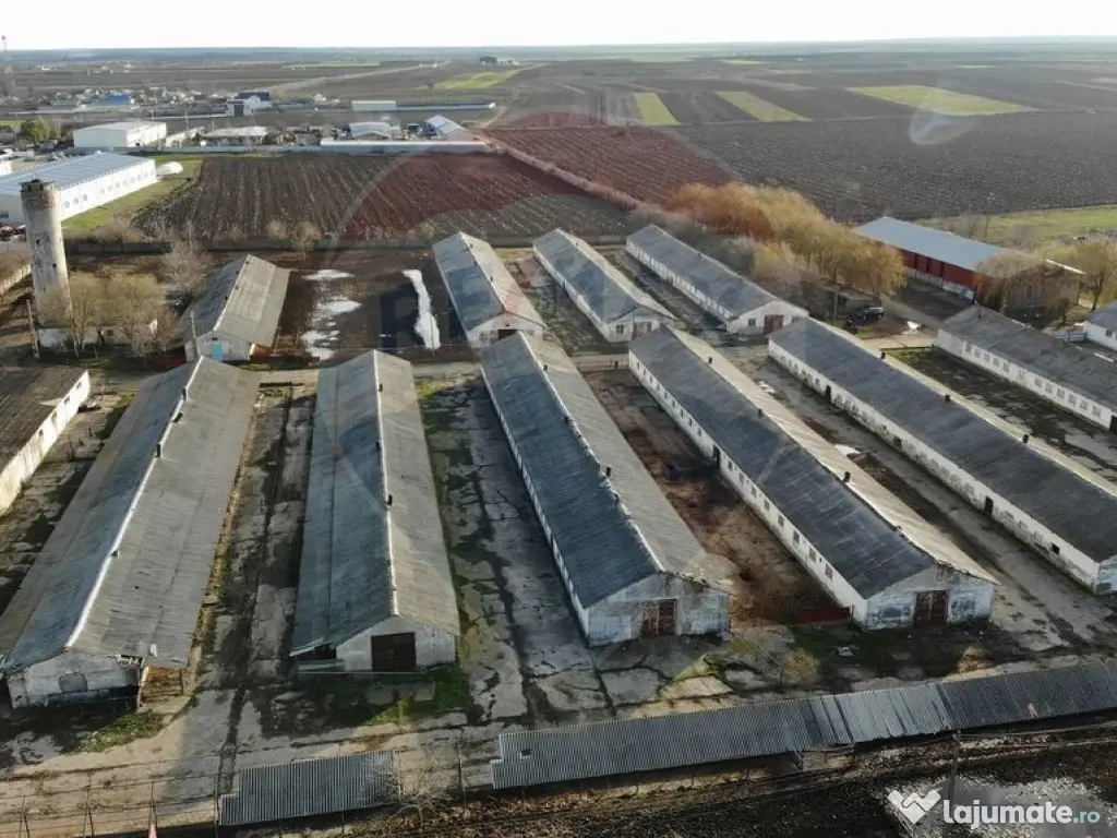 Hale 16 mii mp cu 9 ha teren intravilan