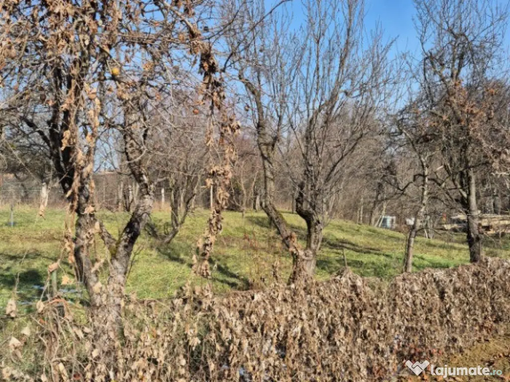 Somcuta Mare, central, 10 ari teren