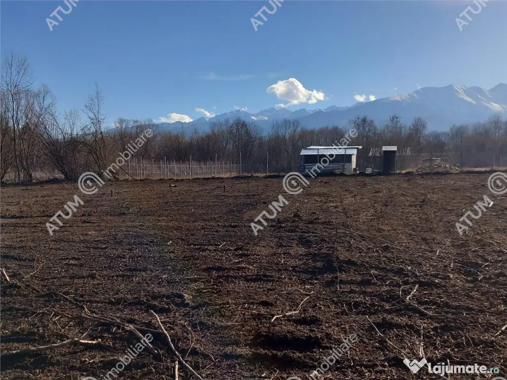 Teren intravilan de 1085 mp in Avrig zona Valea Avrigului 