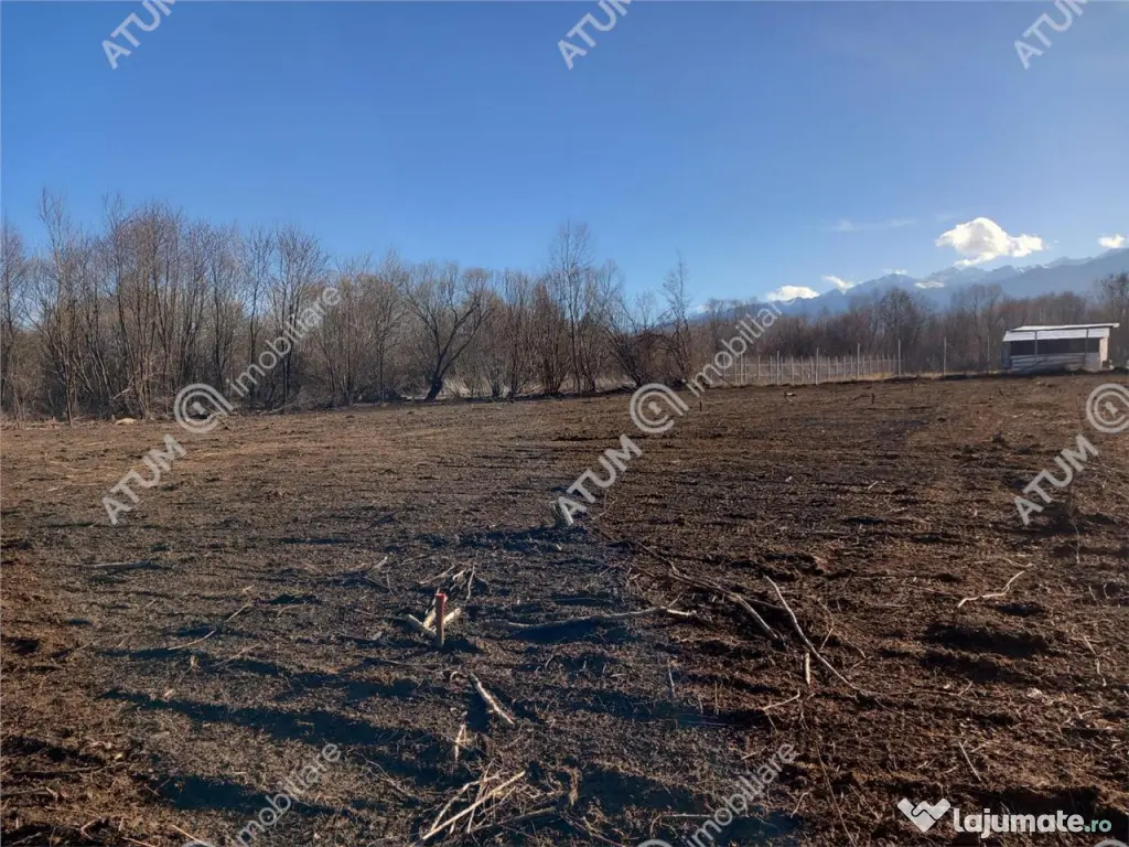 Teren intravilan de 1085 mp in Avrig zona Valea Avrigului 