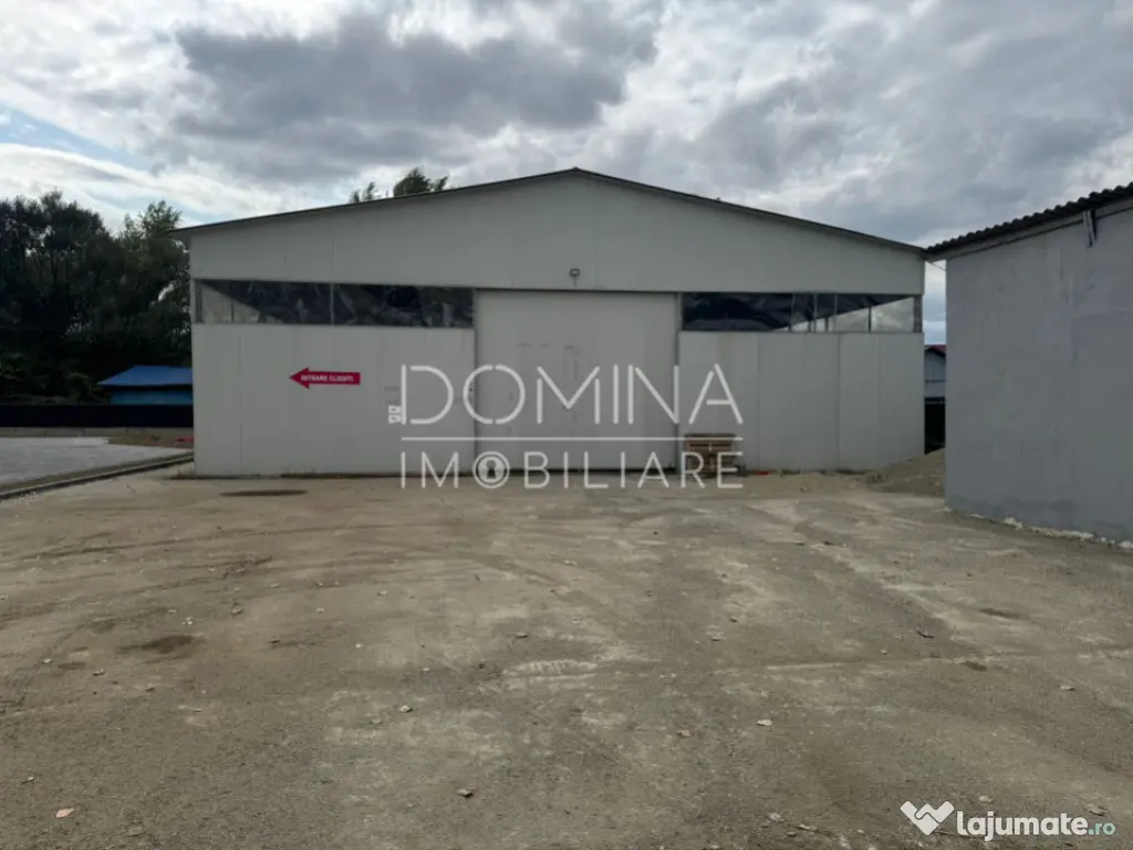 Hală industrială, Târgu Jiu, strada Tineretului 