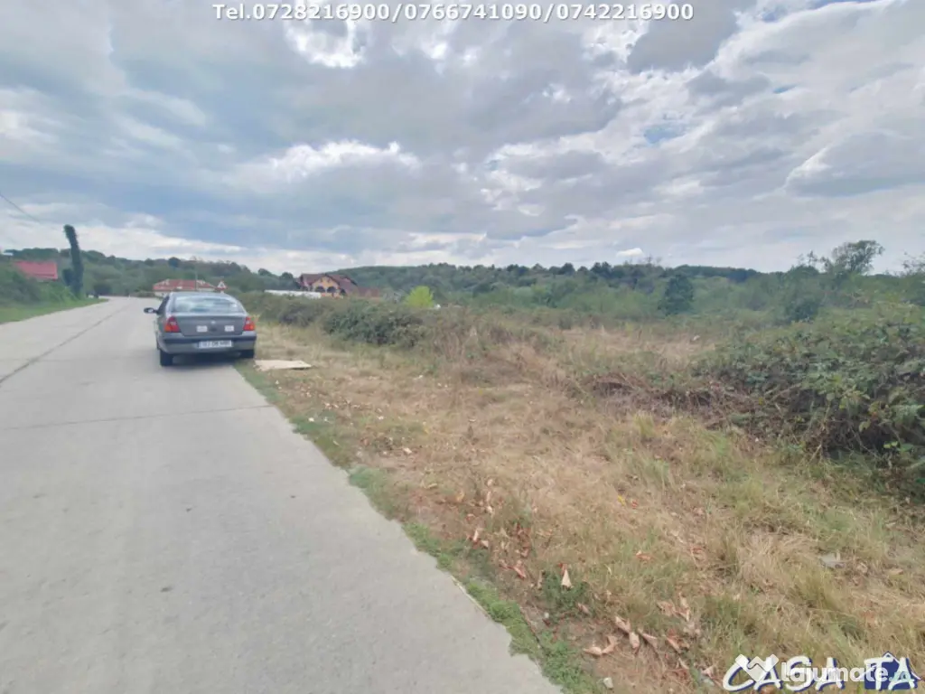 Teren Intravilan (1000 mp),situat în Danesti -Vacarea