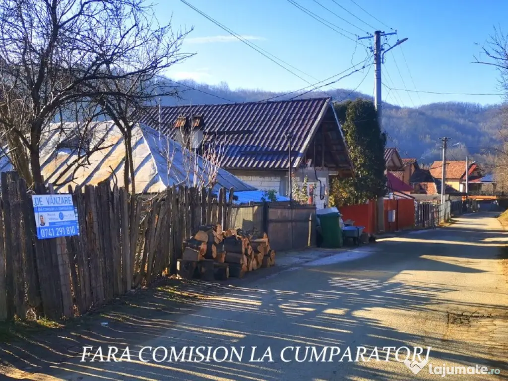 CALIMANESTI, TEREN 1231 MP 