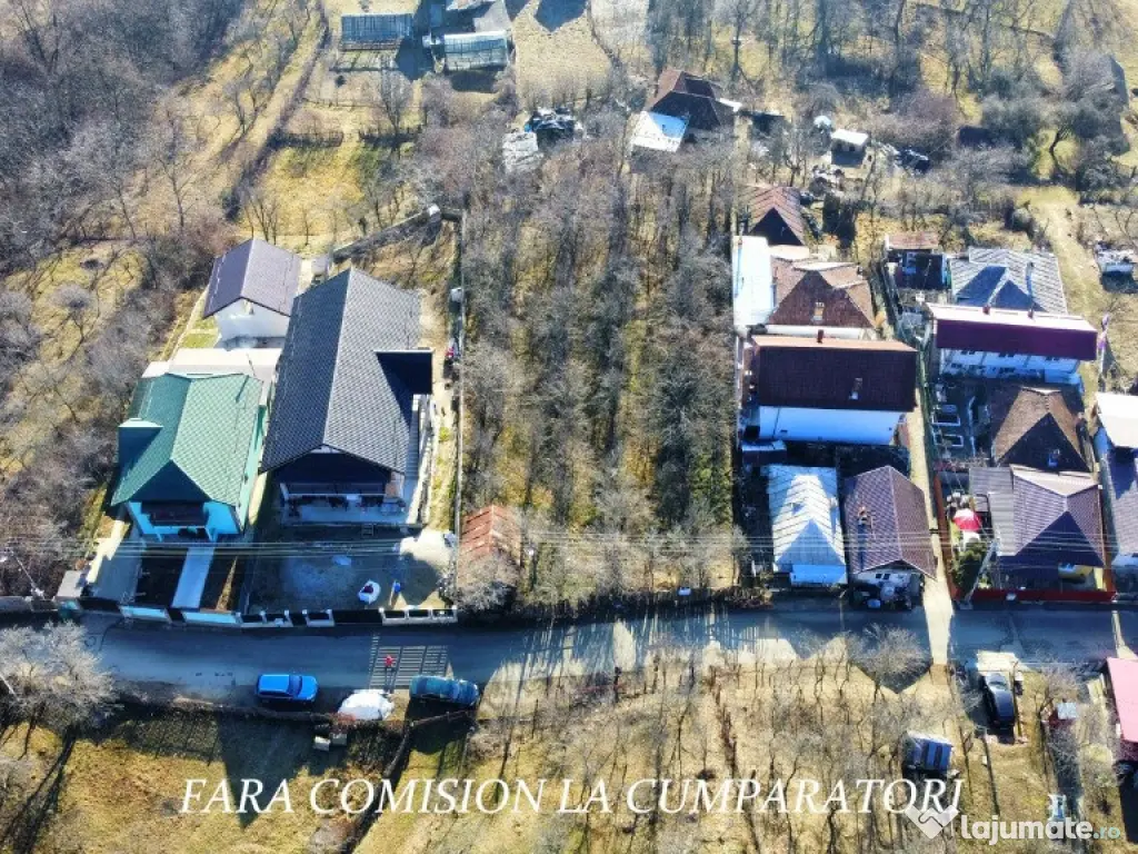 CALIMANESTI, TEREN 1231 MP 