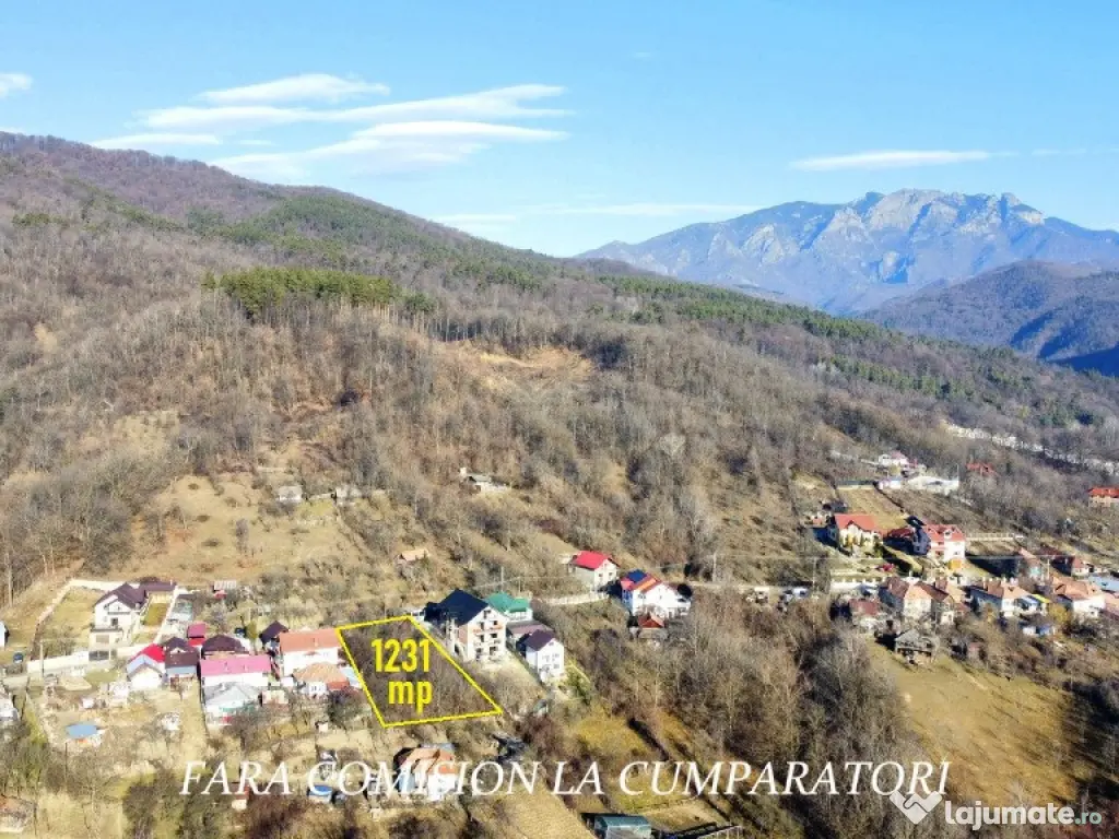 CALIMANESTI, TEREN 1231 MP 