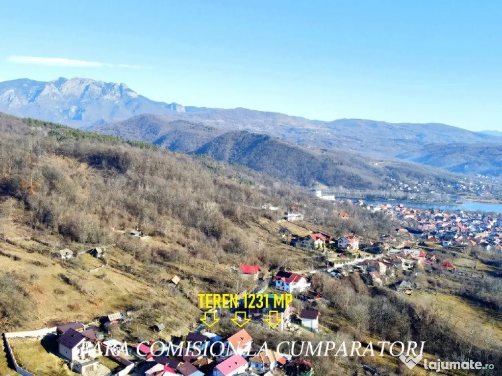 CALIMANESTI, TEREN 1231 MP 