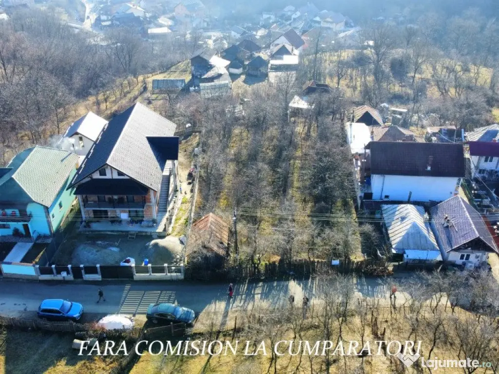 CALIMANESTI, TEREN 1231 MP 