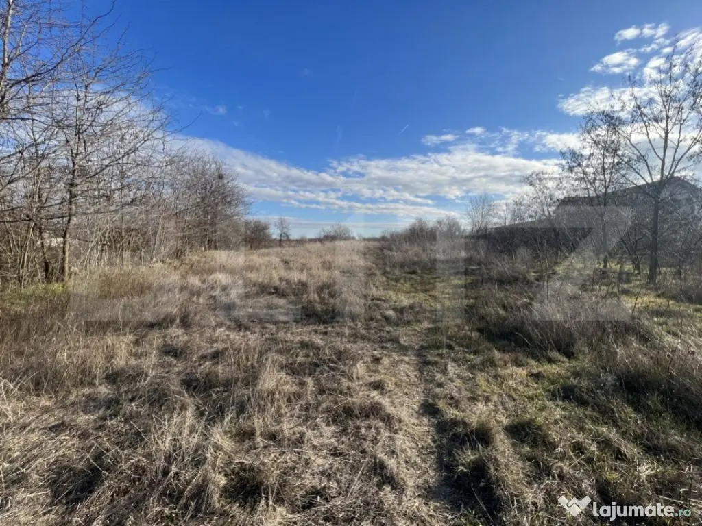 Teren 1100/2200 mp, zona Cosoveni-Profi