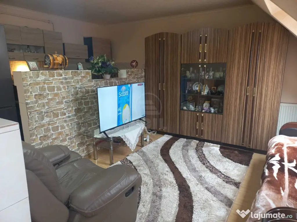 Apartament 1 camera ,zona Porii 