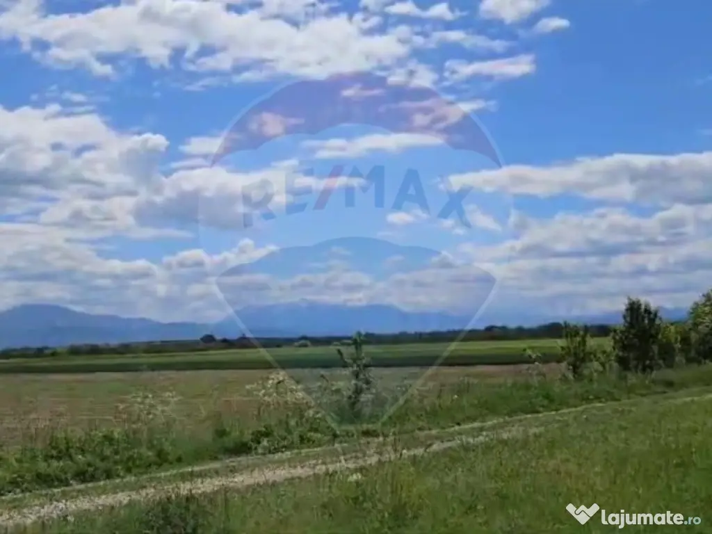 Teren intravilan Satu Nou- Halchiu-jud Brașov/ 655mp