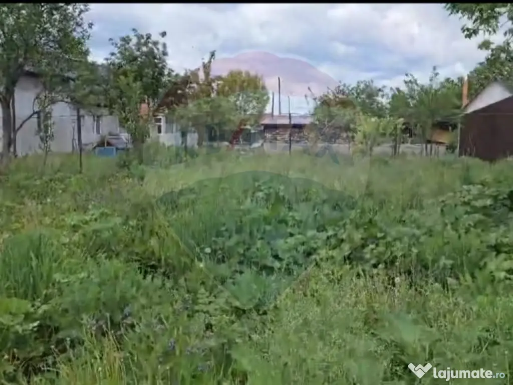 Teren intravilan Satu Nou- Halchiu-jud Brașov/ 655mp