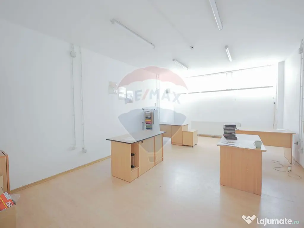 De vânzare spațiu industrial PGS Sofa, calea Borșului