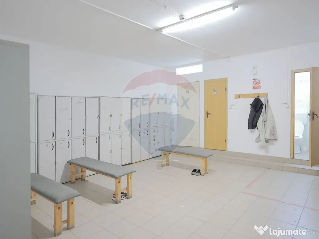 De vânzare spațiu industrial PGS Sofa, calea Borșului