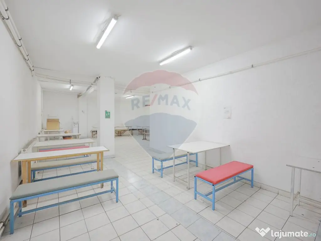 De vânzare spațiu industrial PGS Sofa, calea Borșului