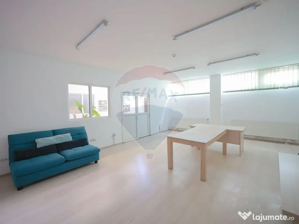 De vânzare spațiu industrial PGS Sofa, calea Borșului