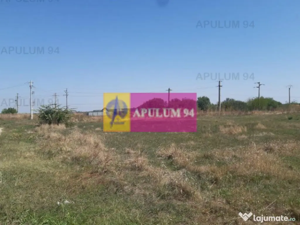 Teren pentru investitie langa Bucuresti