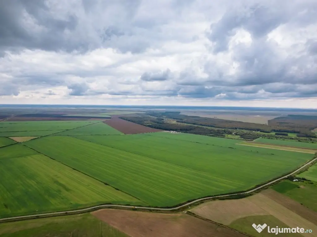Teren arabil de 174 hectare în Călărași