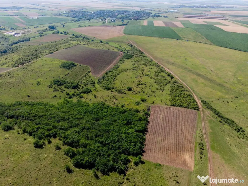 Teren arabil de 174 hectare în Călărași