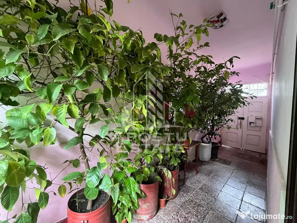 Casa cu 3 camere, curte comuna, posibilitate mansardare, ...