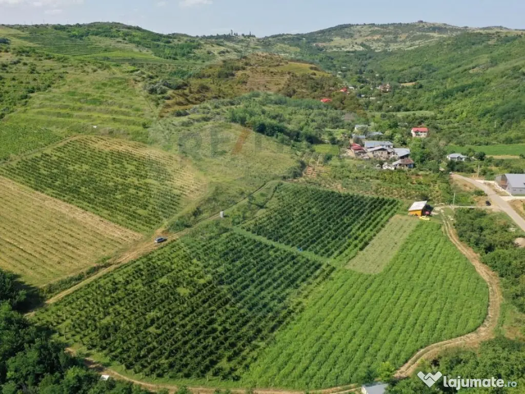 Oportunitate de investitie - Teren de vanzare I 4 ha I ce...